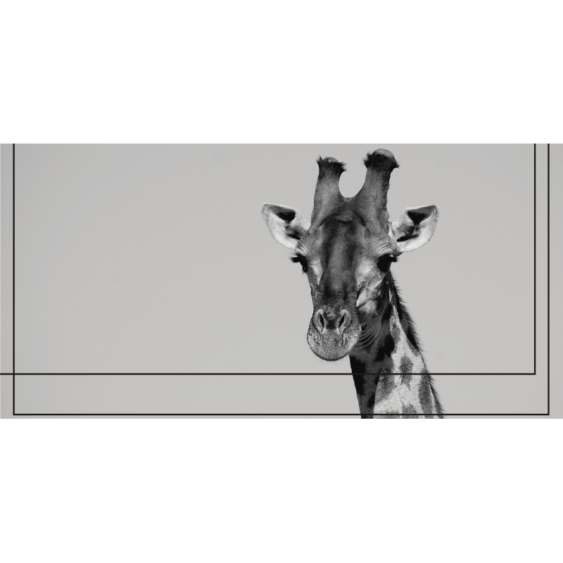 Greyscale Giraffe animal rug - TenStickers
