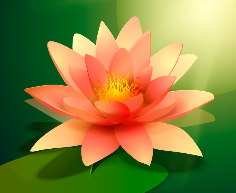 Blooming Lotus floral vinyl rug - TenStickers