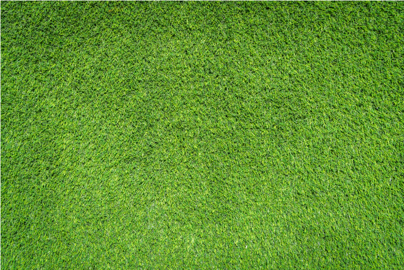 Grass Surface texture vinyl rug - TenStickers