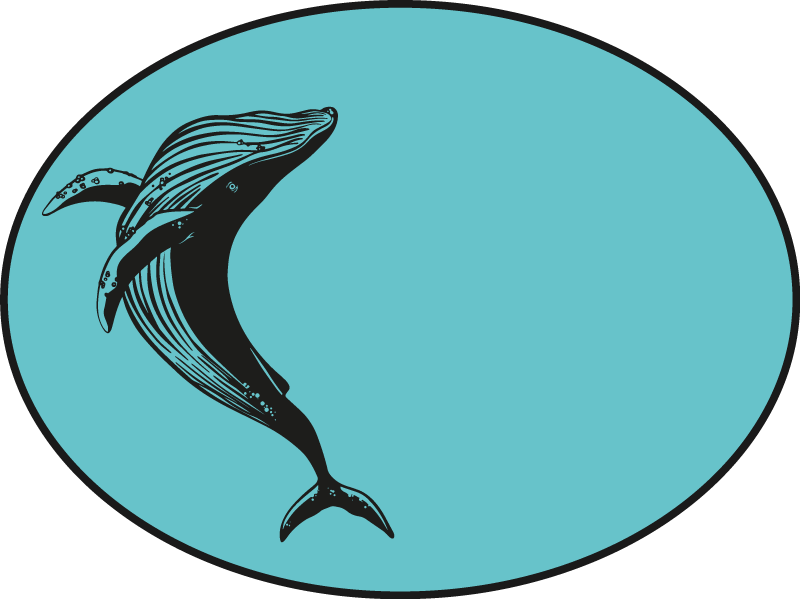 Vintage Whale animal carpet - TenStickers