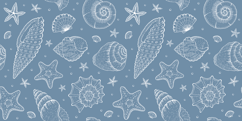 Sea Shells Pattern bathroom vinyl rug - TenStickers