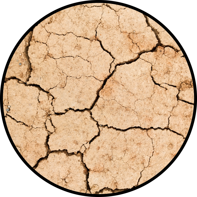 Cracked earth pattern textured vinyl rug - TenStickers