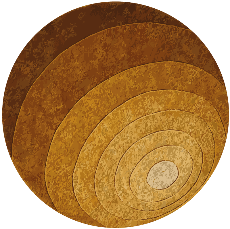 Nature layers wood effect vinyl rug - TenStickers