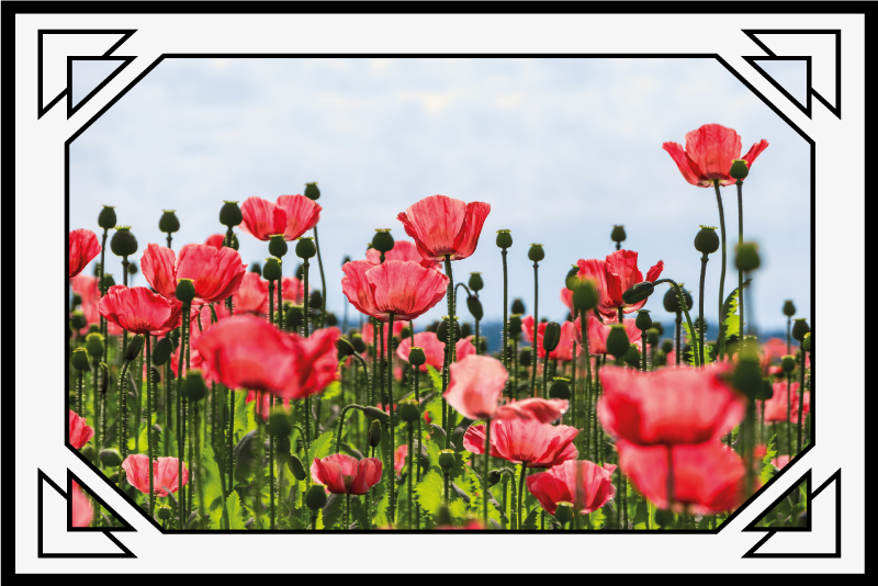 Red and green poppy field floral rug - TenStickers