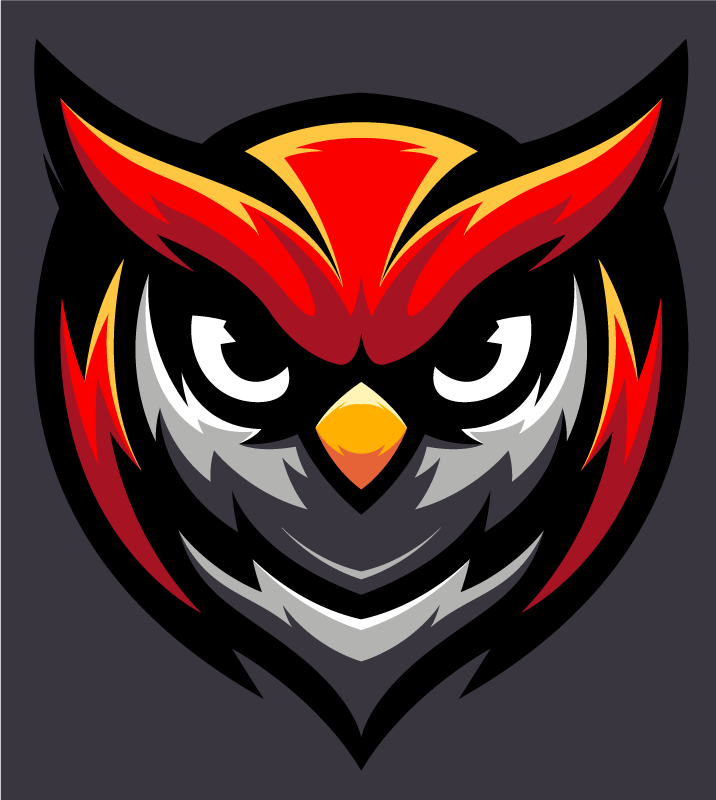 Owl Graphic Bold teenage bedroom vinyl rug - TenStickers