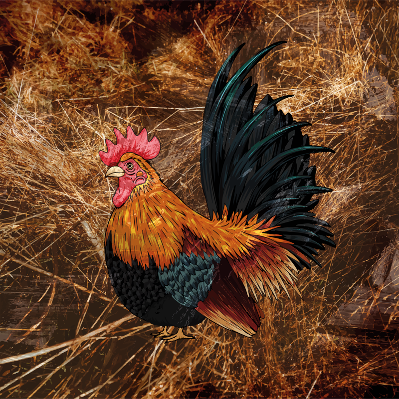 Vibrant rooster design animal print vinyl rug - TenStickers