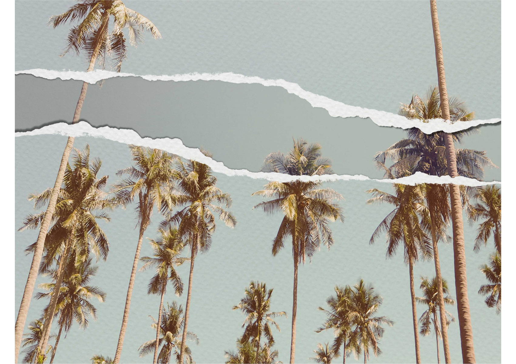 Palm trees image in torn paper style living rug - TenStickers