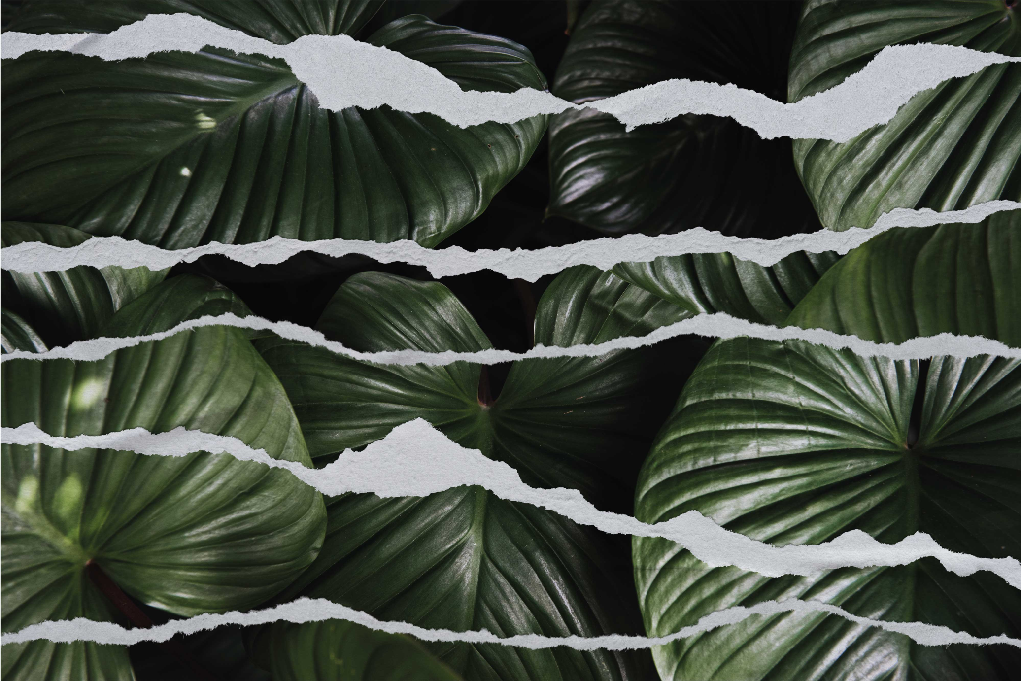 Torn Leaf Pattern nature vinyl rug - TenStickers