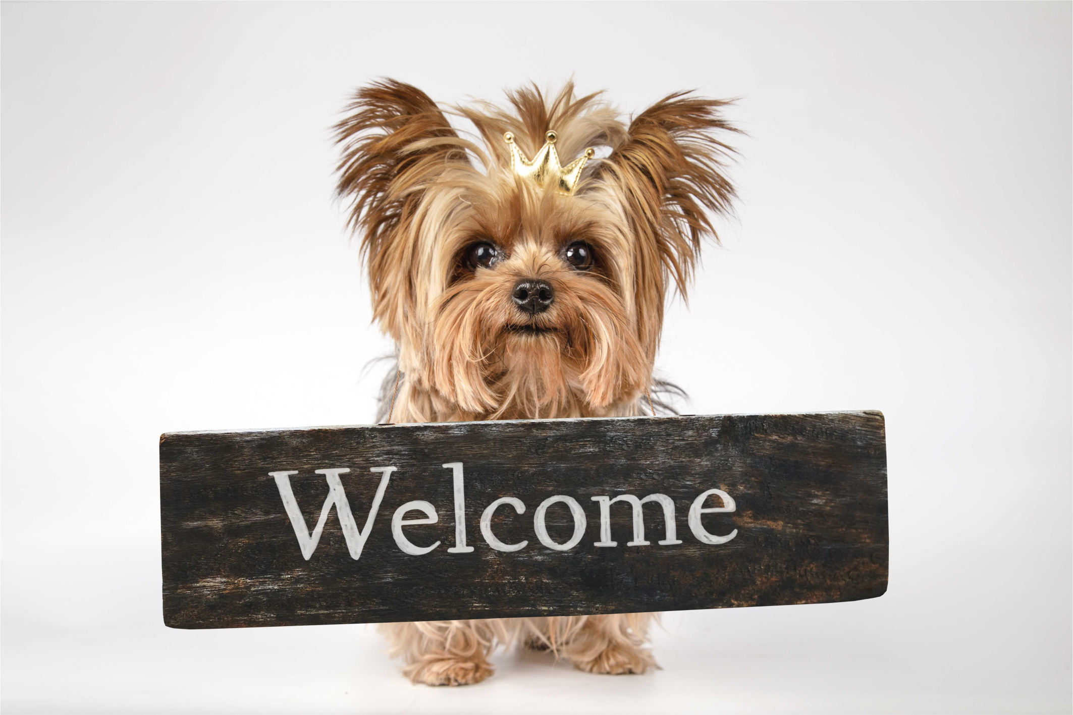 Furry Welcome Sign custom vinyl rug - TenStickers