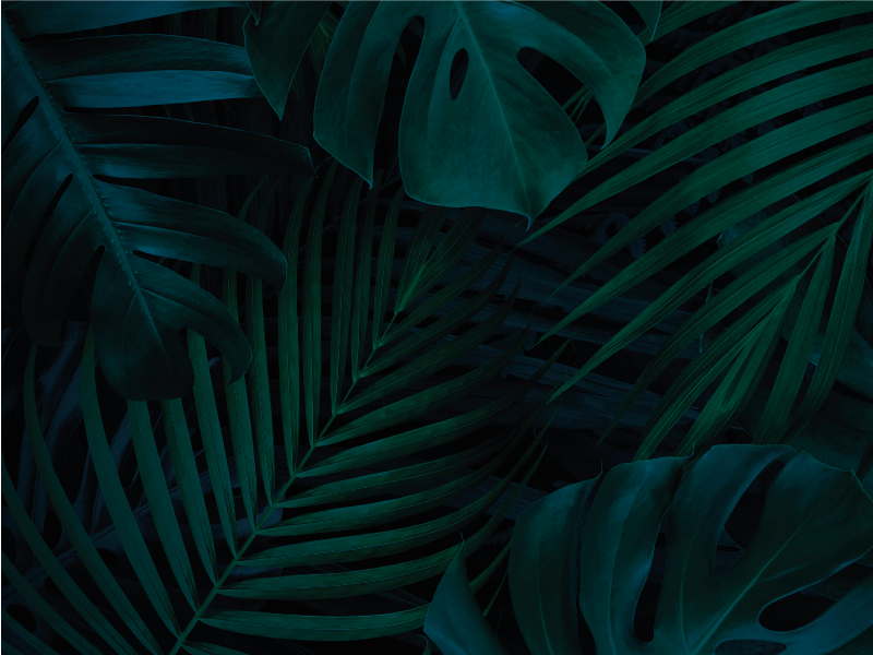 Tropical Foliage floral vinyl rug - TenStickers