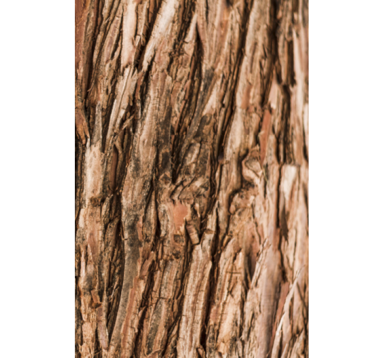 Living room wallpaper tree bark design - TenStickers