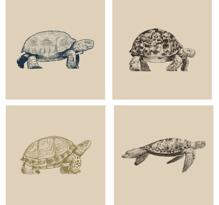 Vintage wallpaper turtles on a beige background - TenStickers