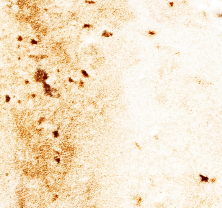 Soft marble texture Marble Wallpaper - TenStickers