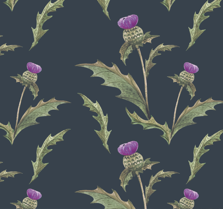 Scottish thistle Flower Wallpaper - TenStickers