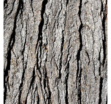 Wood effect wallpaper realistic trunk pattern - TenStickers